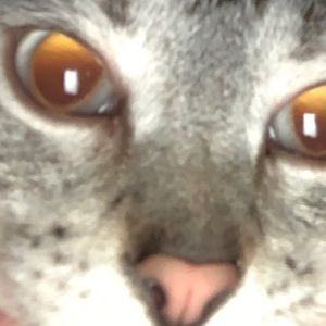 Meet your Posher, Dylan